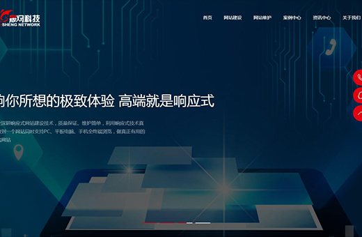廣州晟網信息科技有限公司案例